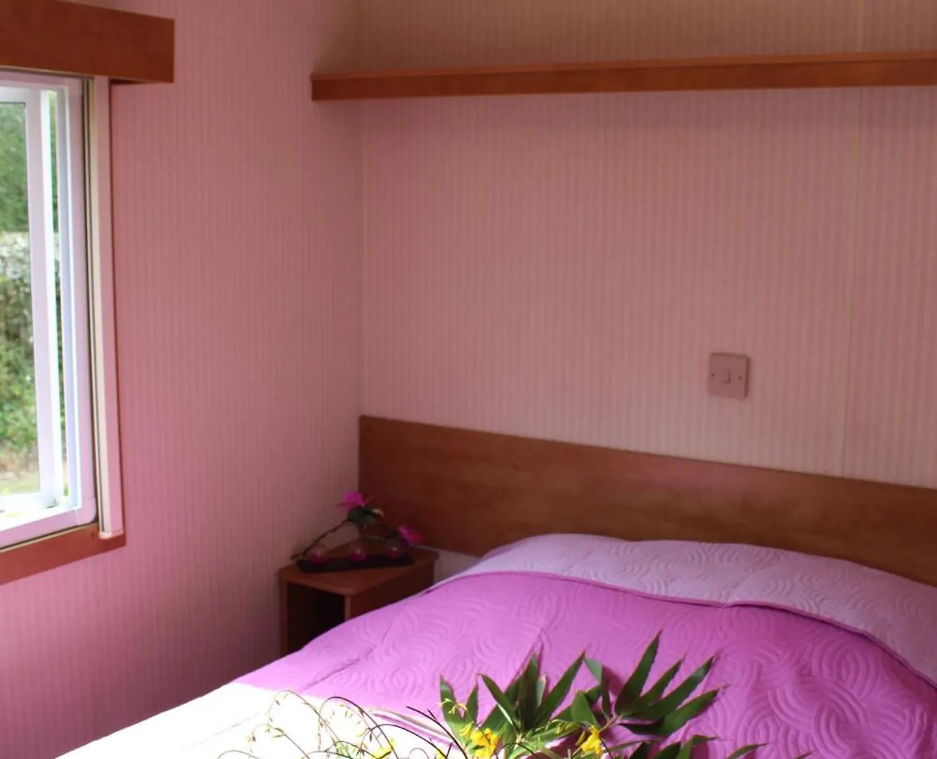 Camping De Trezulien Douarnenez Parque de Campismo