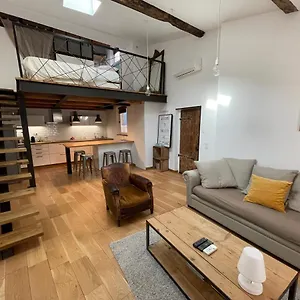 Duplex Avec Vue Sur Les Arènes Arles